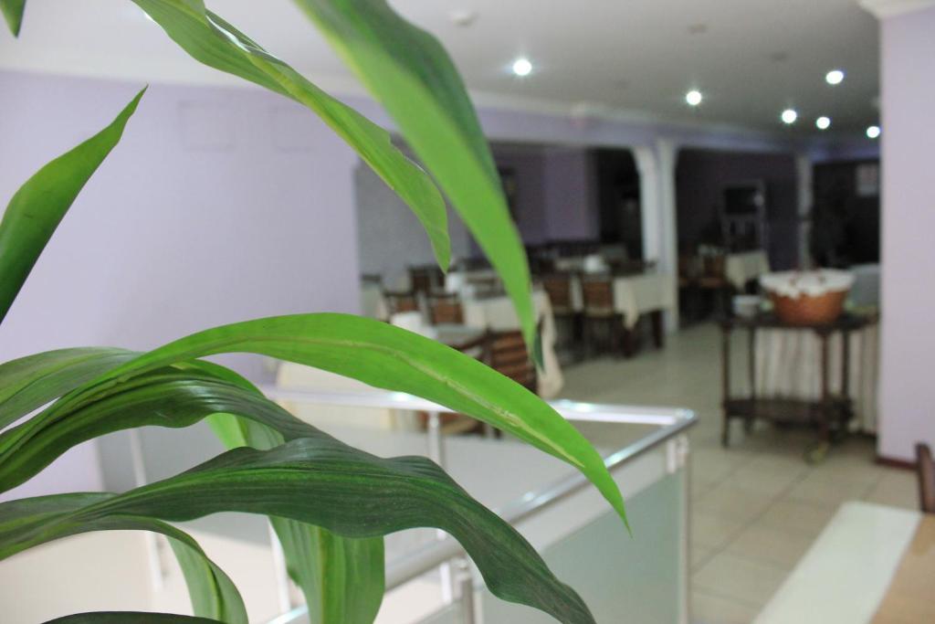 Nazar Hotel Τραμπζόν Εξωτερικό φωτογραφία